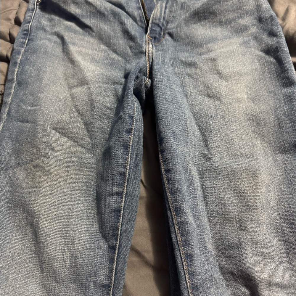 Signature by Levi Strauss Women's Blue Boot Cut Jeans